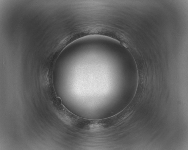 X0000060580216200511031344