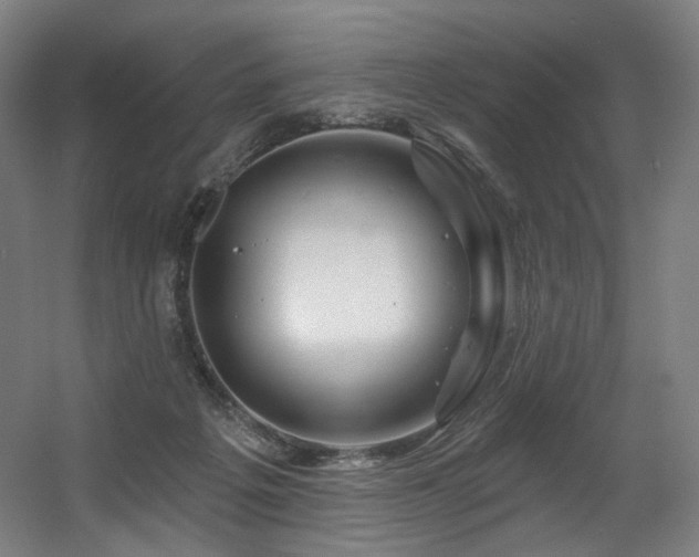 X0000060580217200511031344