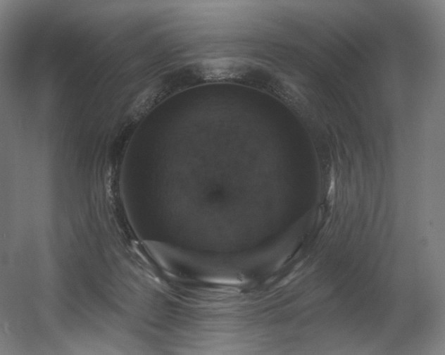 X0000060580219200511031344