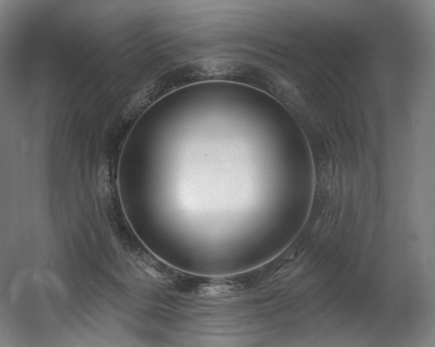 X0000060580220200511031344