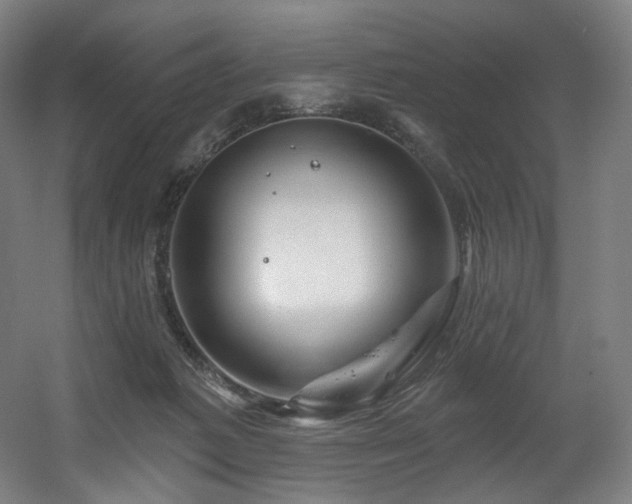 X0000060580221200511031344