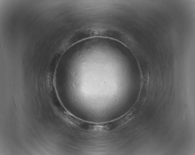 X0000060580222200511031344