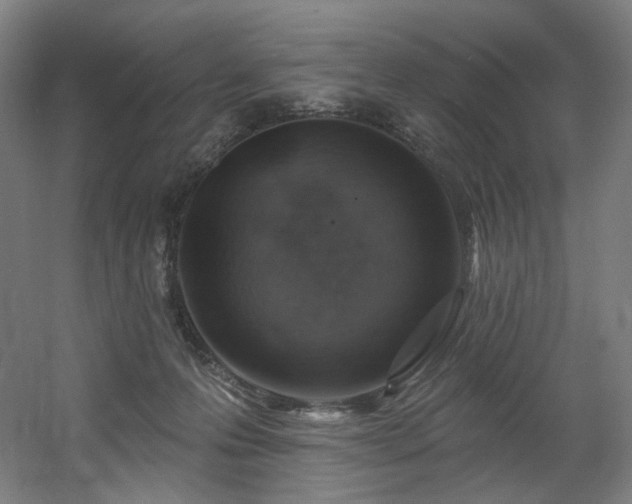 X0000060580223200511031344