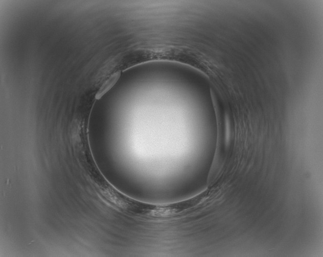 X0000060580225200511031344