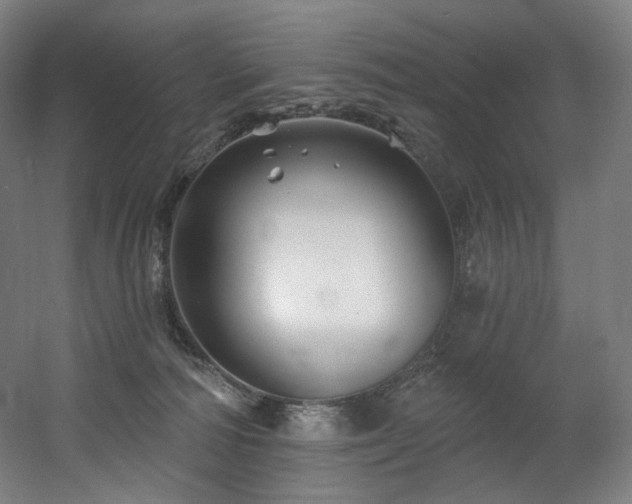 X0000060580226200511031344