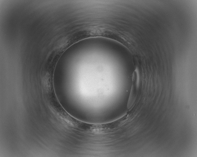 X0000060580228200511031344