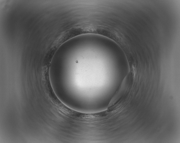 X0000060580229200511031344