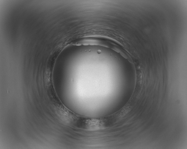 X0000060580230200511031344