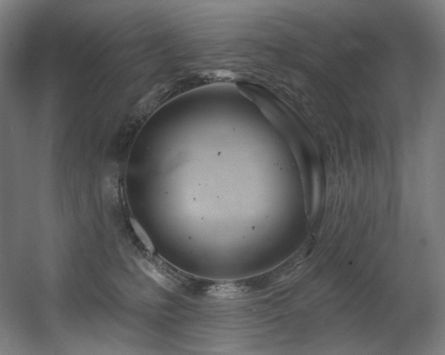 X0000060580231200511031344