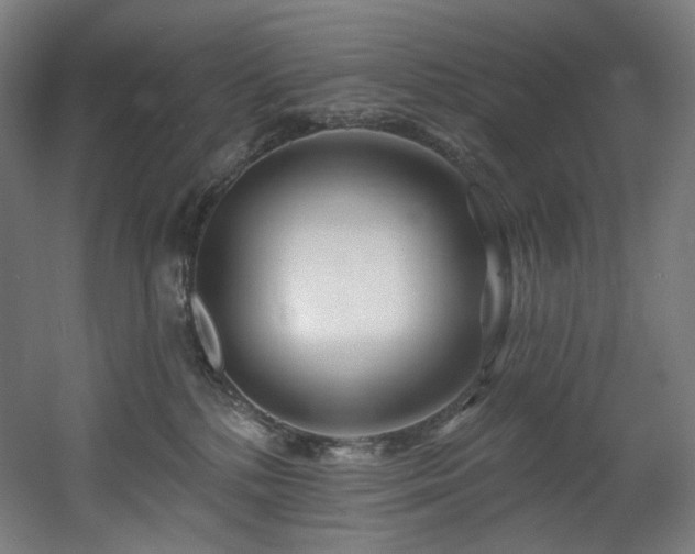 X0000060580232200511031344