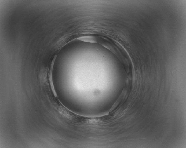 X0000060580233200511031344