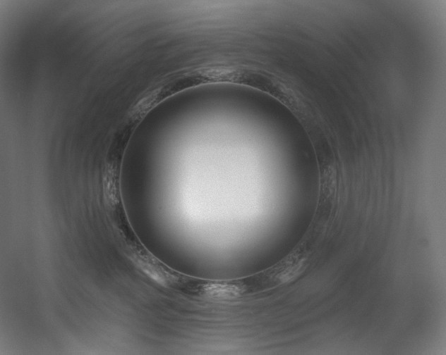 X0000060580234200511031344