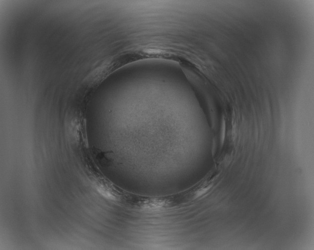 X0000060580235200511031344