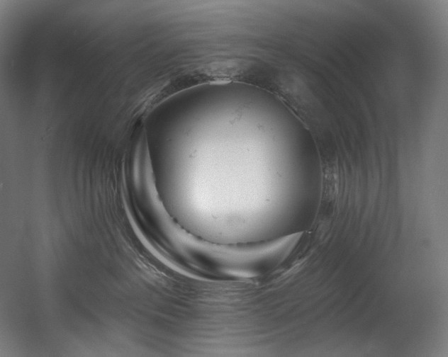 X0000060580237200511031344