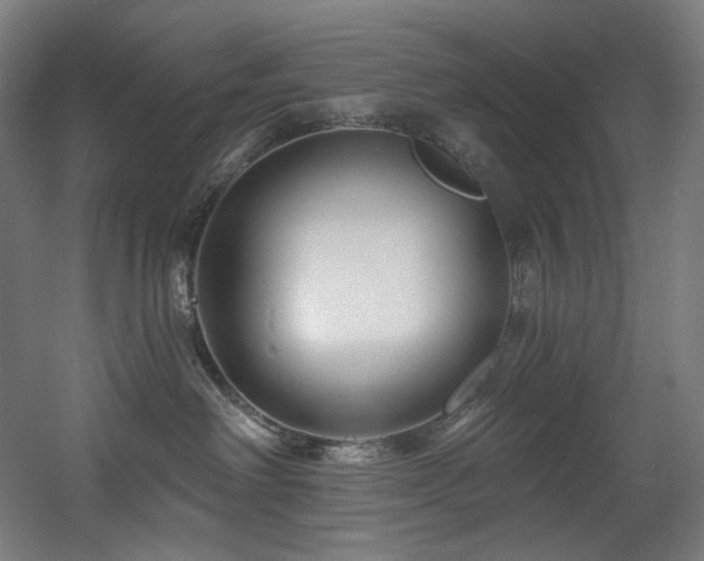 X0000060580238200511031344