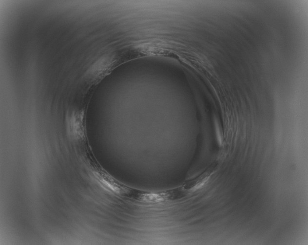 X0000060580239200511031344