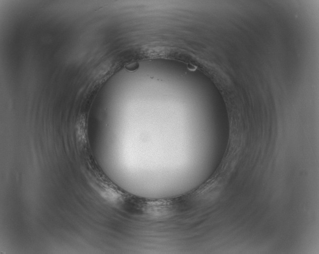 X0000060580240200511031344