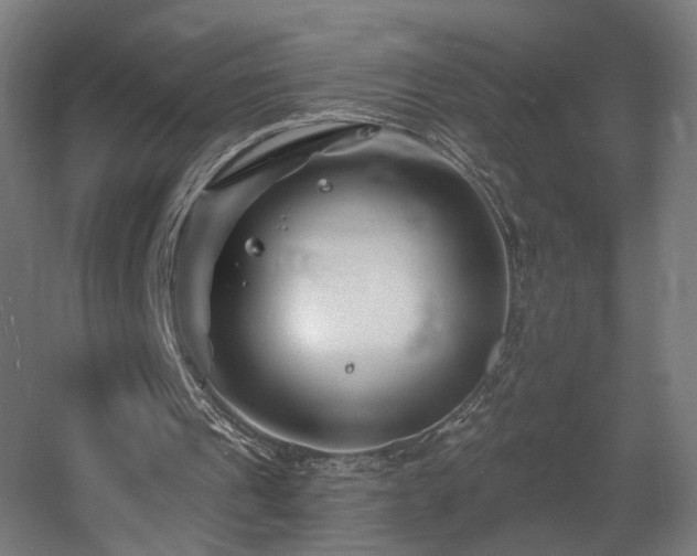 X0000060580241200511031343