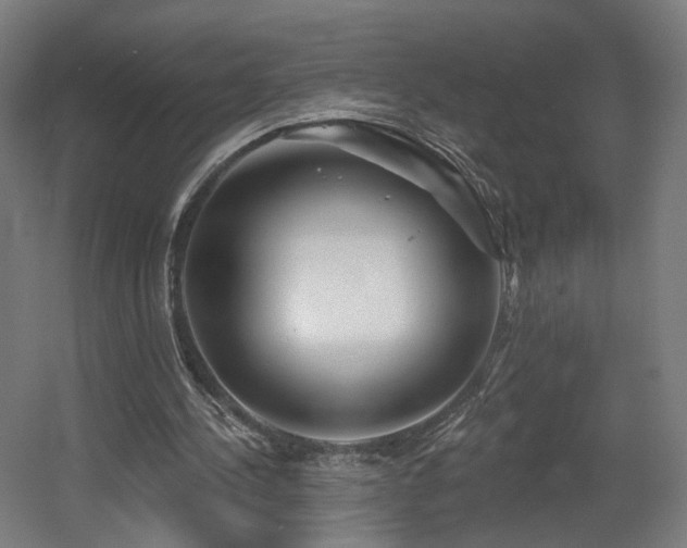 X0000060580244200511031343