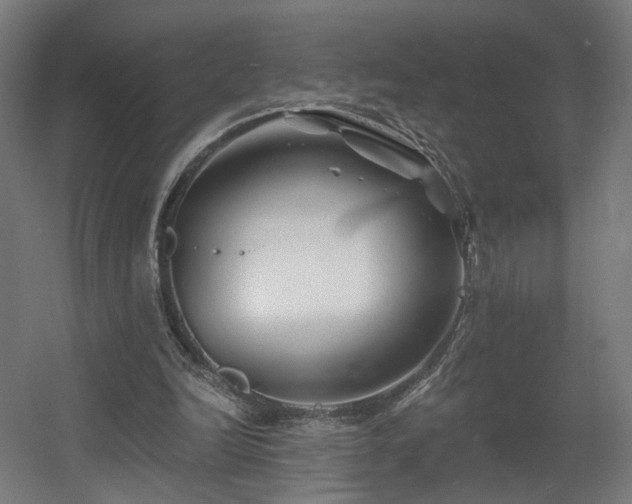 X0000060580246200511031343