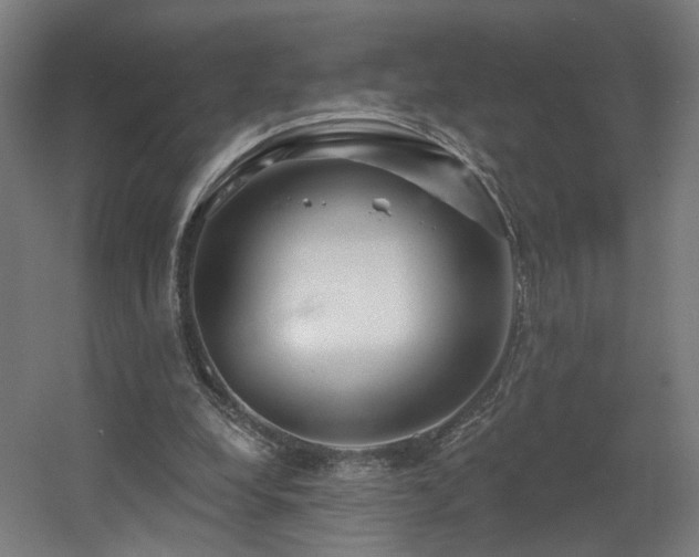 X0000060580248200511031343