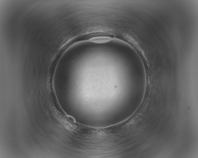 X0000060580249200511031343