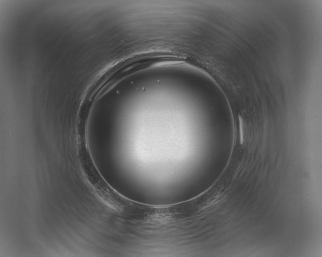 X0000060580252200511031343