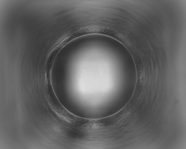 X0000060580254200511031343