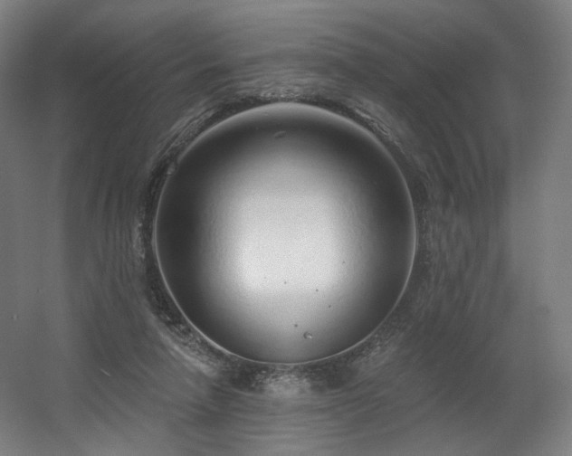 X0000060580258200511031343