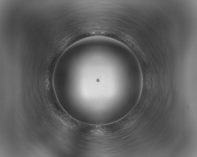 X0000060580259200511031343