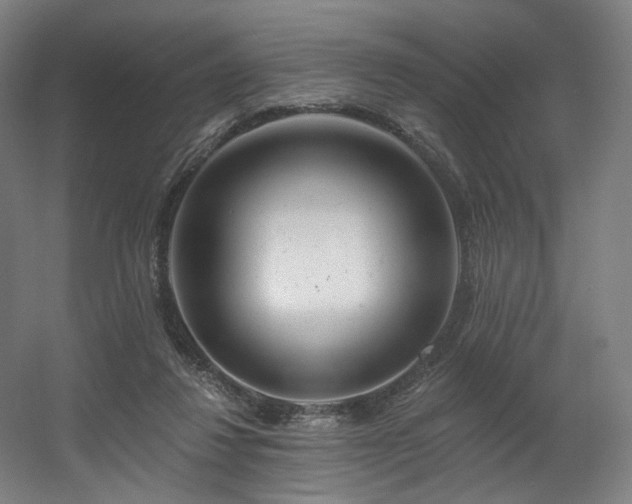 X0000060580260200511031343