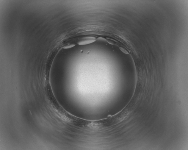 X0000060580261200511031343