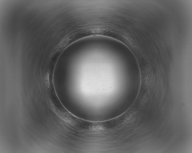 X0000060580262200511031344