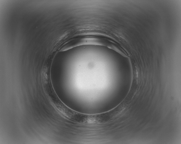 X0000060580264200511031344