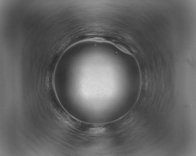 X0000060580266200511031344