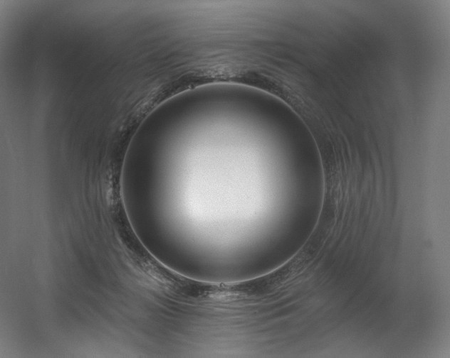 X0000060580268200511031344