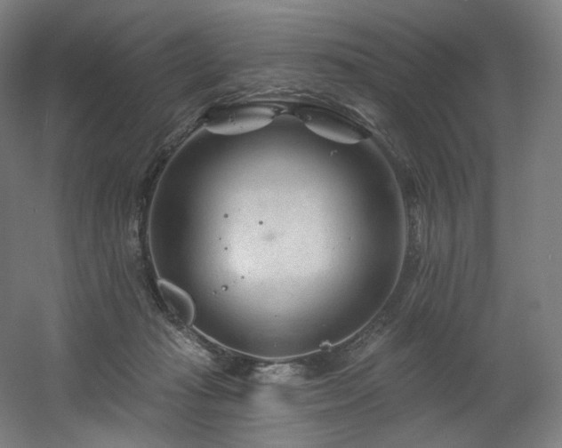 X0000060580269200511031344