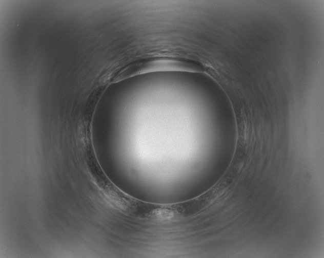 X0000060580272200511031344