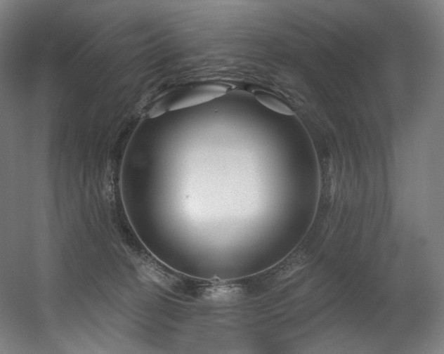 X0000060580274200511031344