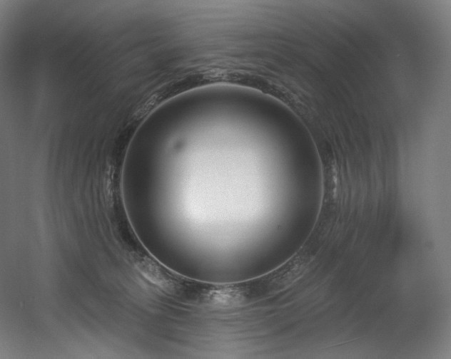 X0000060580275200511031344