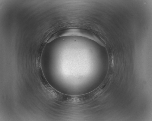 X0000060580276200511031344