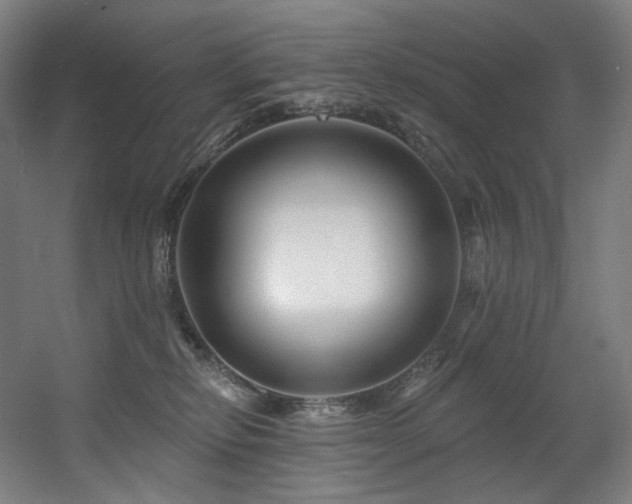 X0000060580278200511031344