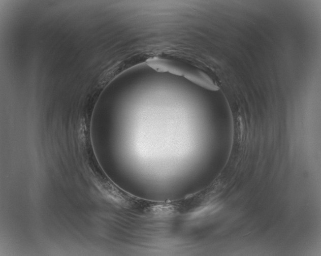 X0000060580279200511031344