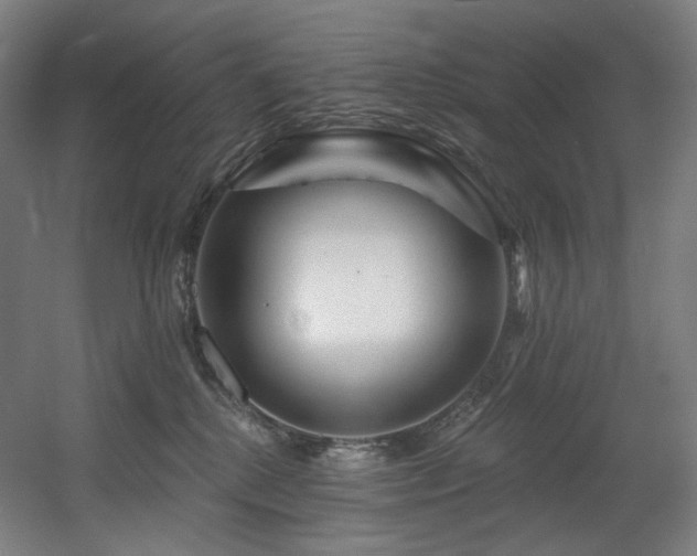 X0000060580280200511031344