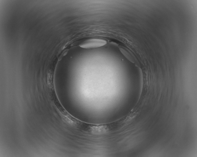 X0000060580281200511031344