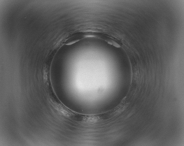 X0000060580282200511031344