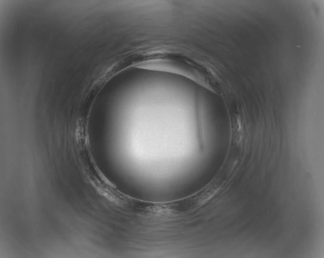 X0000060580284200511031344