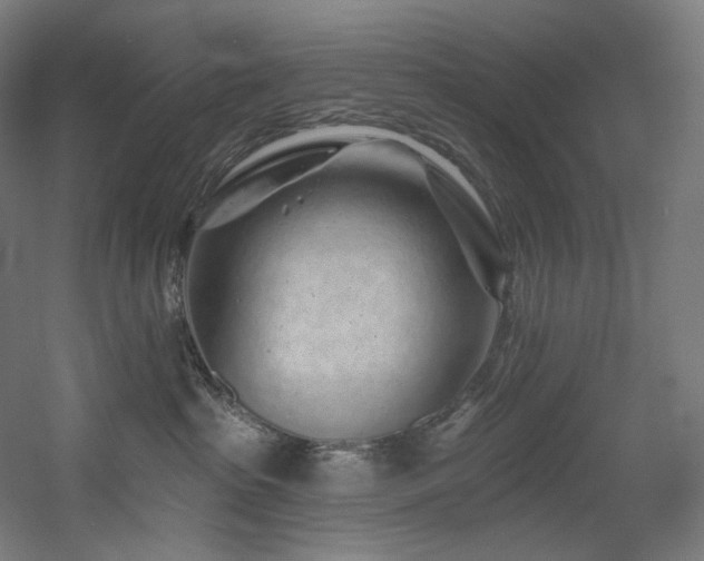 X0000060580285200511031344