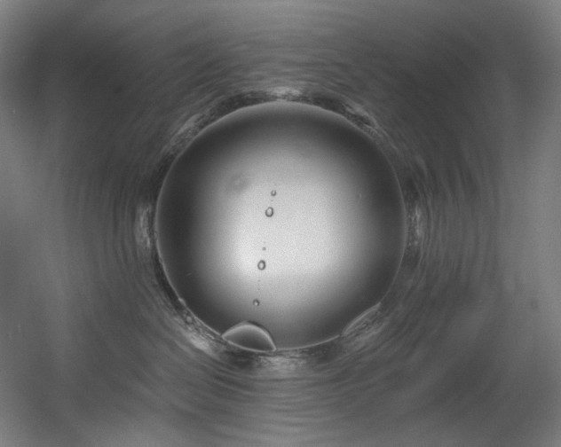 X0000060580286200511031344