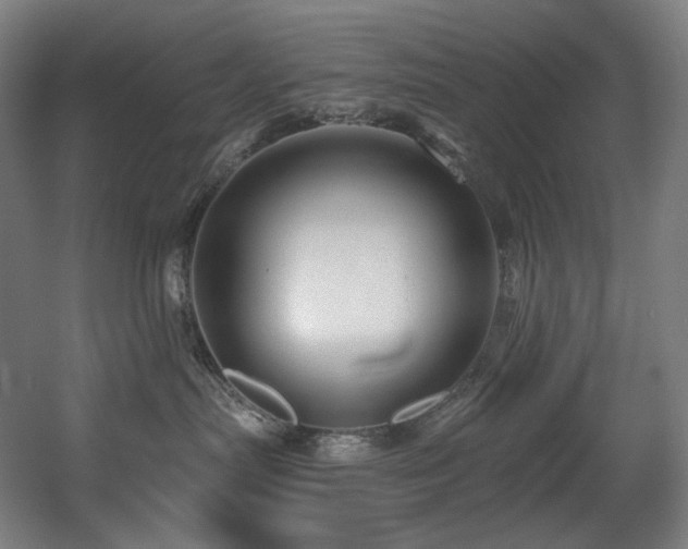 X0000060580287200511031344